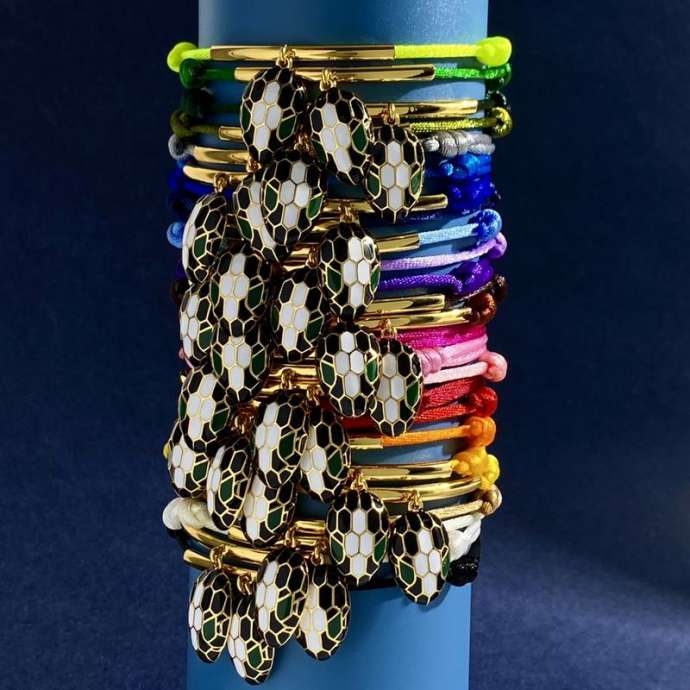 Picture of Bvlgari Bracelet _SKUBvlgariBracelet12Wly32786